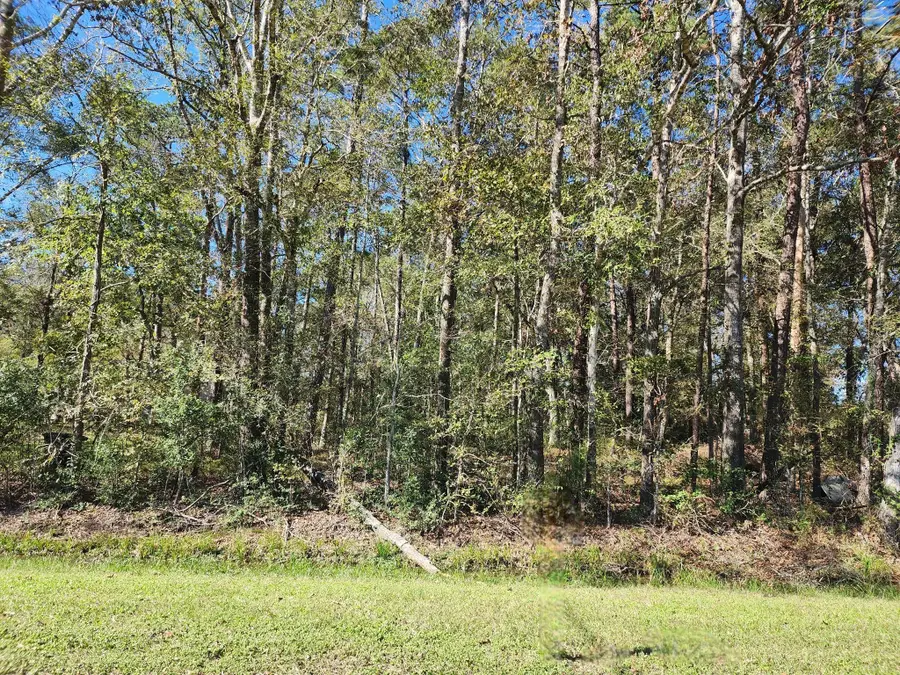 243 County Road 3662, Splendora, TX 77372 - Image #3