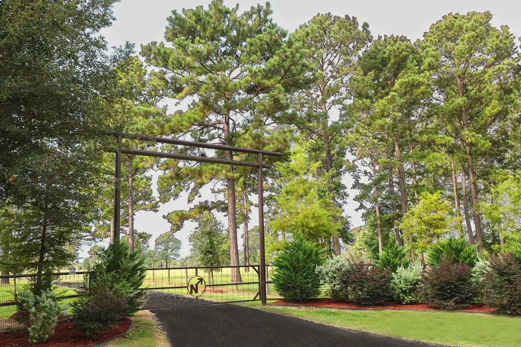 489 Everitt Road, Shepherd Evergreen, TX 77328 - Image #1