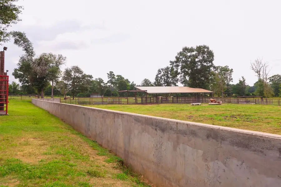 489 Everitt Road, Shepherd Evergreen, TX 77328 - Image #2