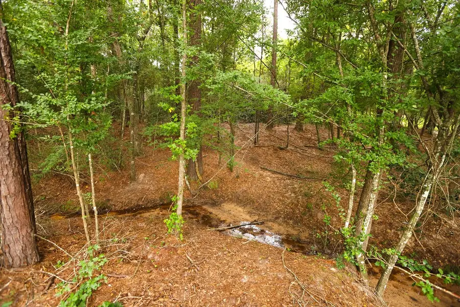 489 Everitt Road, Shepherd Evergreen, TX 77328 - Image #3