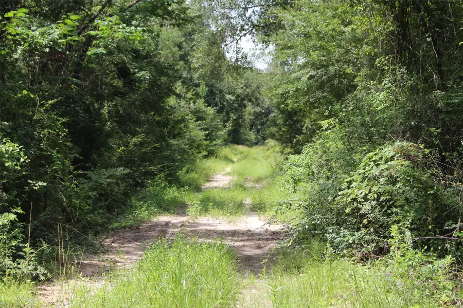 1306 County Road 3455a, Lovelady, TX 75851 - Image #2