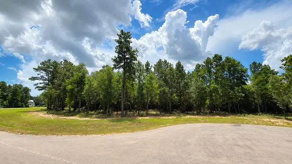 7625 Trinity Pines Dr, Montgomery, TX 77316