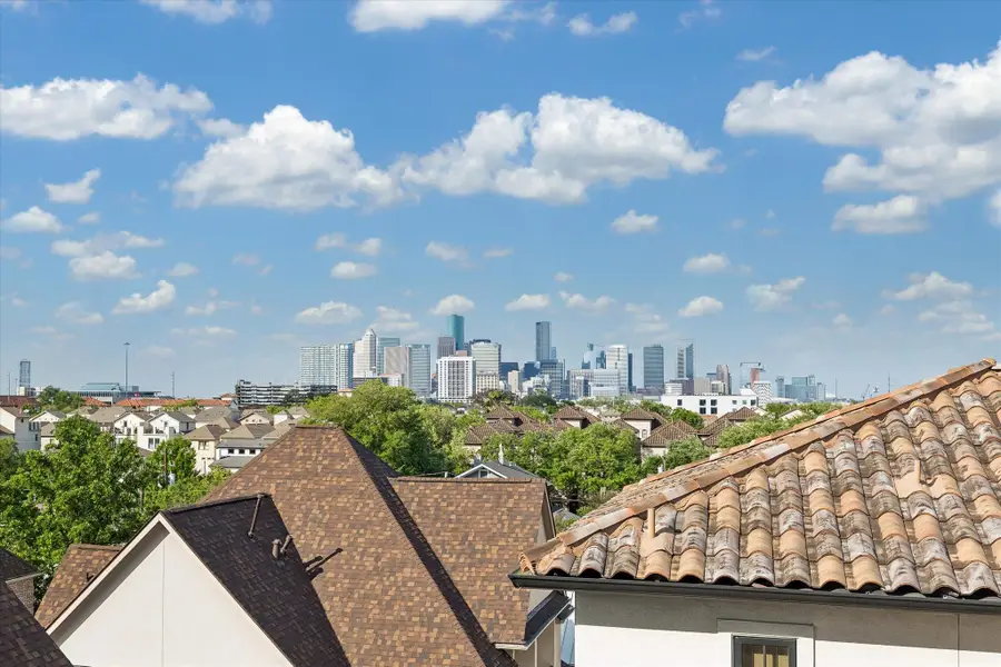 1521 Oakdale Street, Houston, TX 77004 - #3
