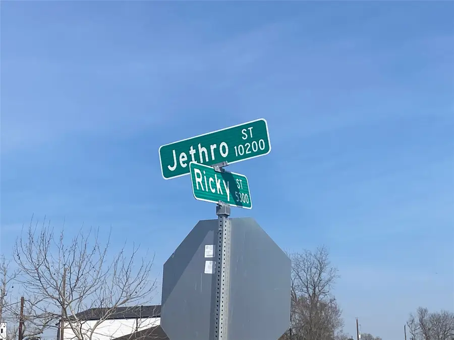 10130 Ricky Street, Houston, TX 77033 - #2