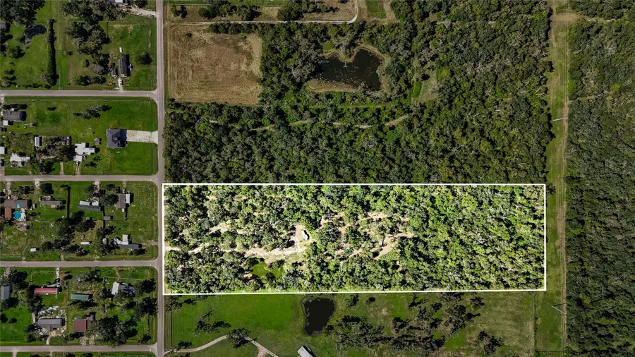 6306 County Road 244, Brazoria, TX 77422 - #2