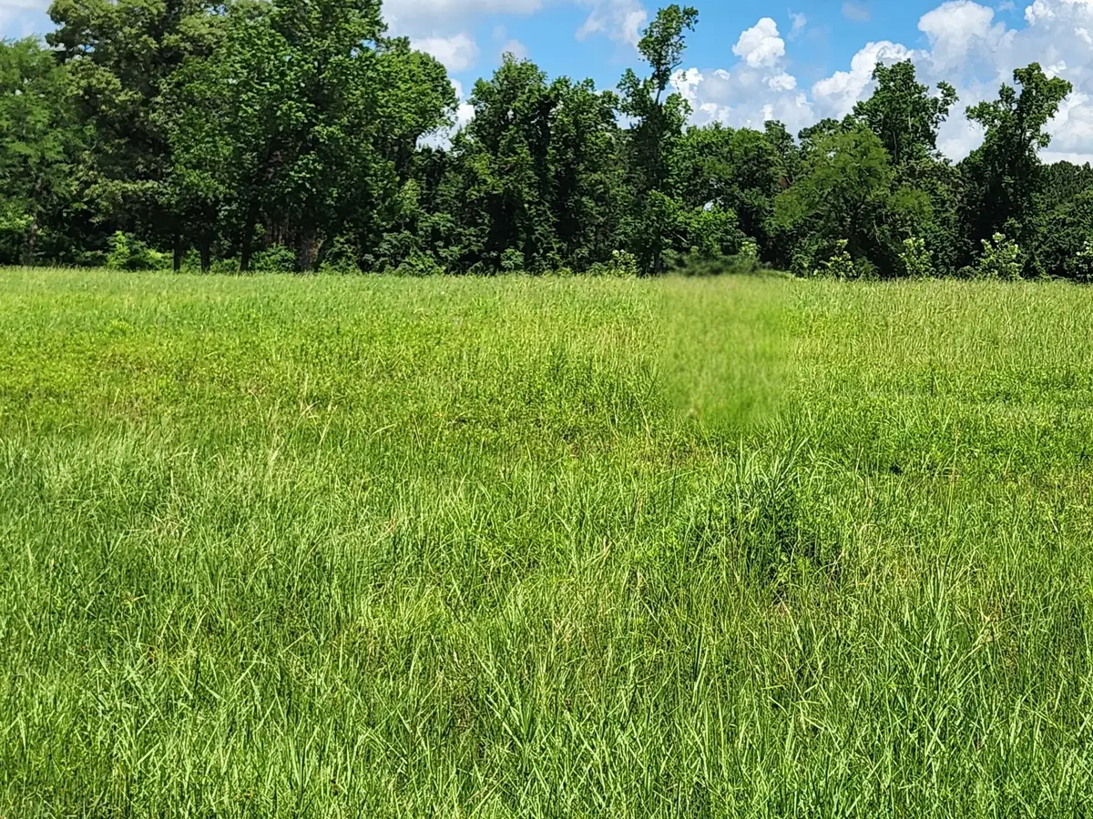 204 Bentwood Pond Trail, Montgomery, TX 77356 - #1