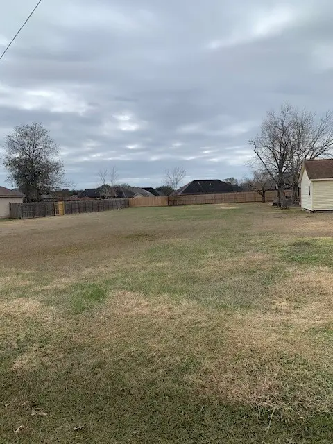 0 W Henderson Road, Angleton, TX 77515 - Image #2