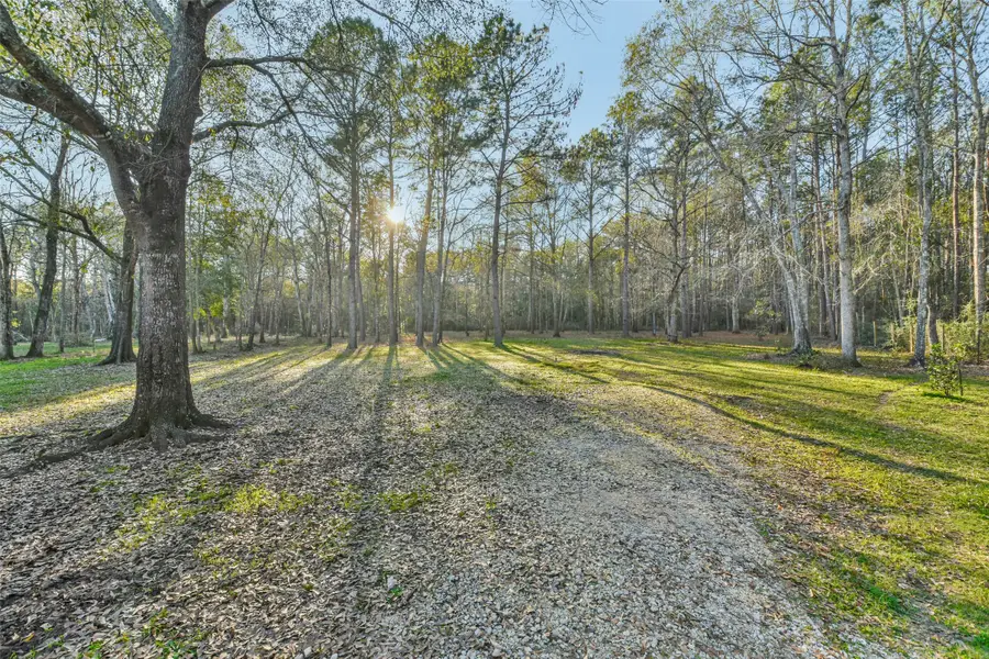 150 Maurine Lane, Shepherd Evergreen, TX 77328 - Image #2