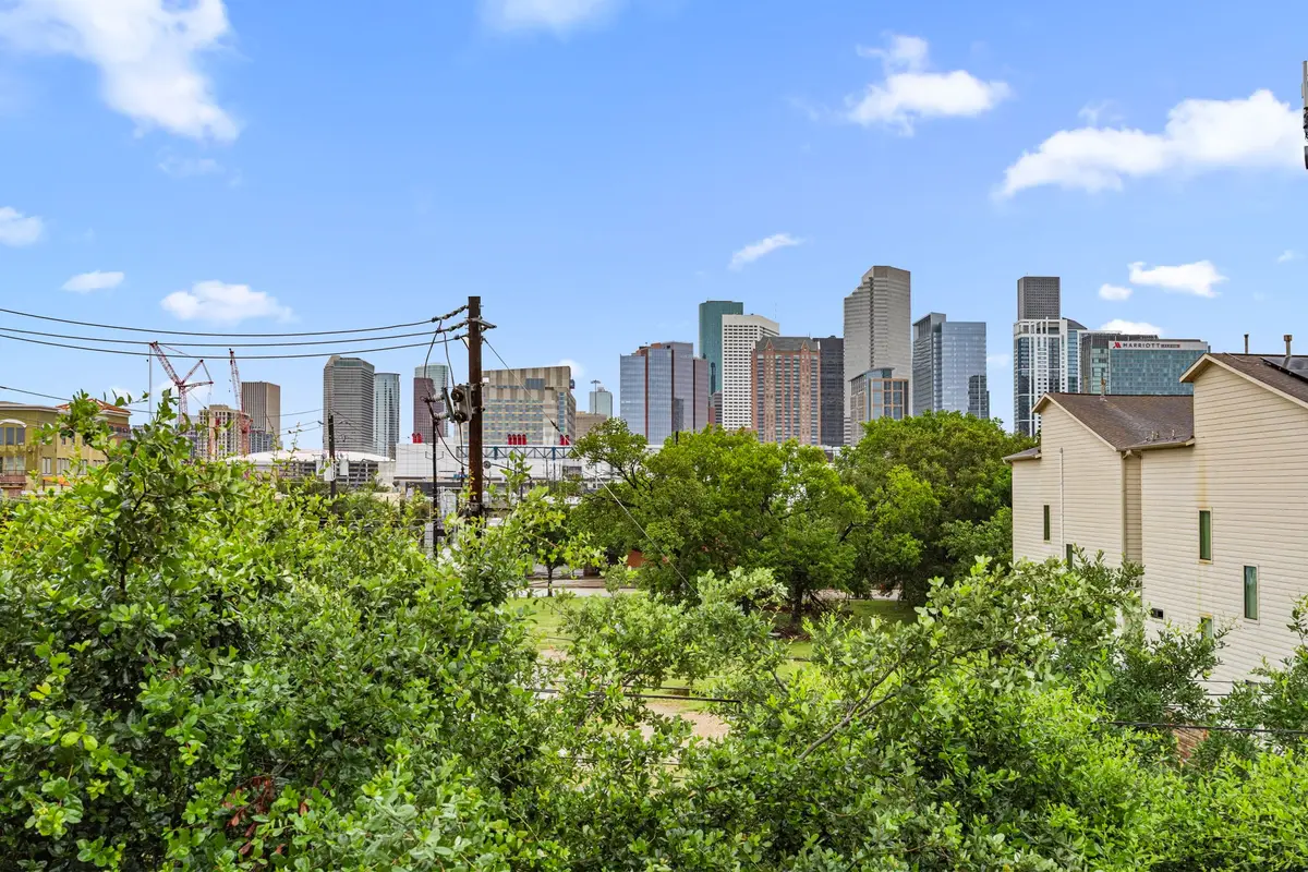 1119 Saint Charles Street, Houston, TX 77003 - #1