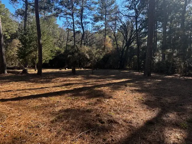 TBD lot 40 Cherokee Ln, Waller, TX 77445 - #3