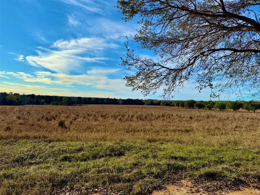 Lot 103 Lakeland Drive, Hillister, TX 77624 - #2