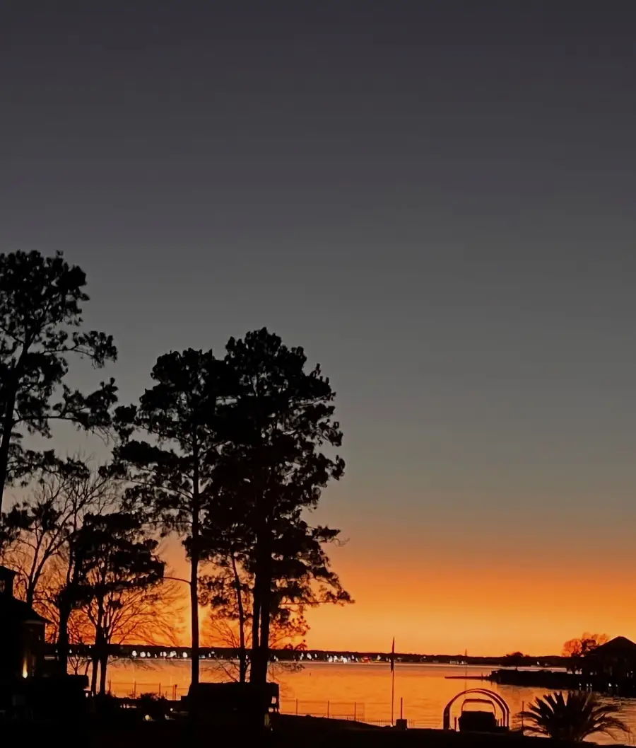 12323 Longmire Cove, Conroe, TX 77304 - #3