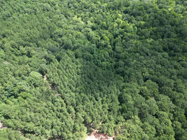 34 Caney Creek Drive, Huntsville, TX 77320