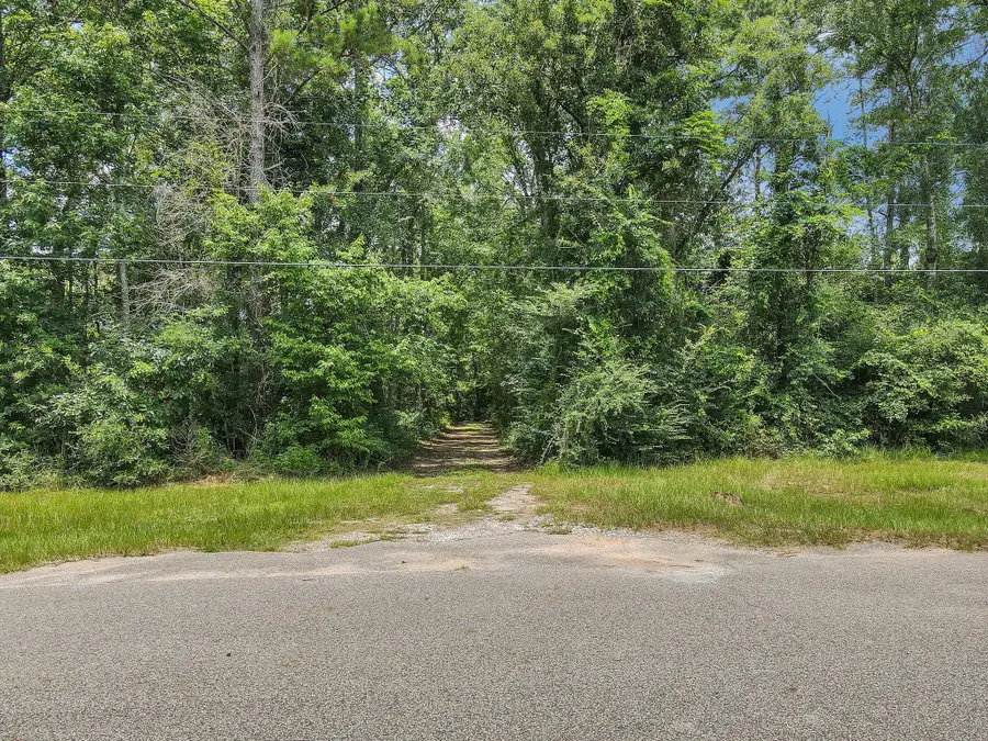 15685 Franklin Drive, Conroe, TX 77303 - Image #3