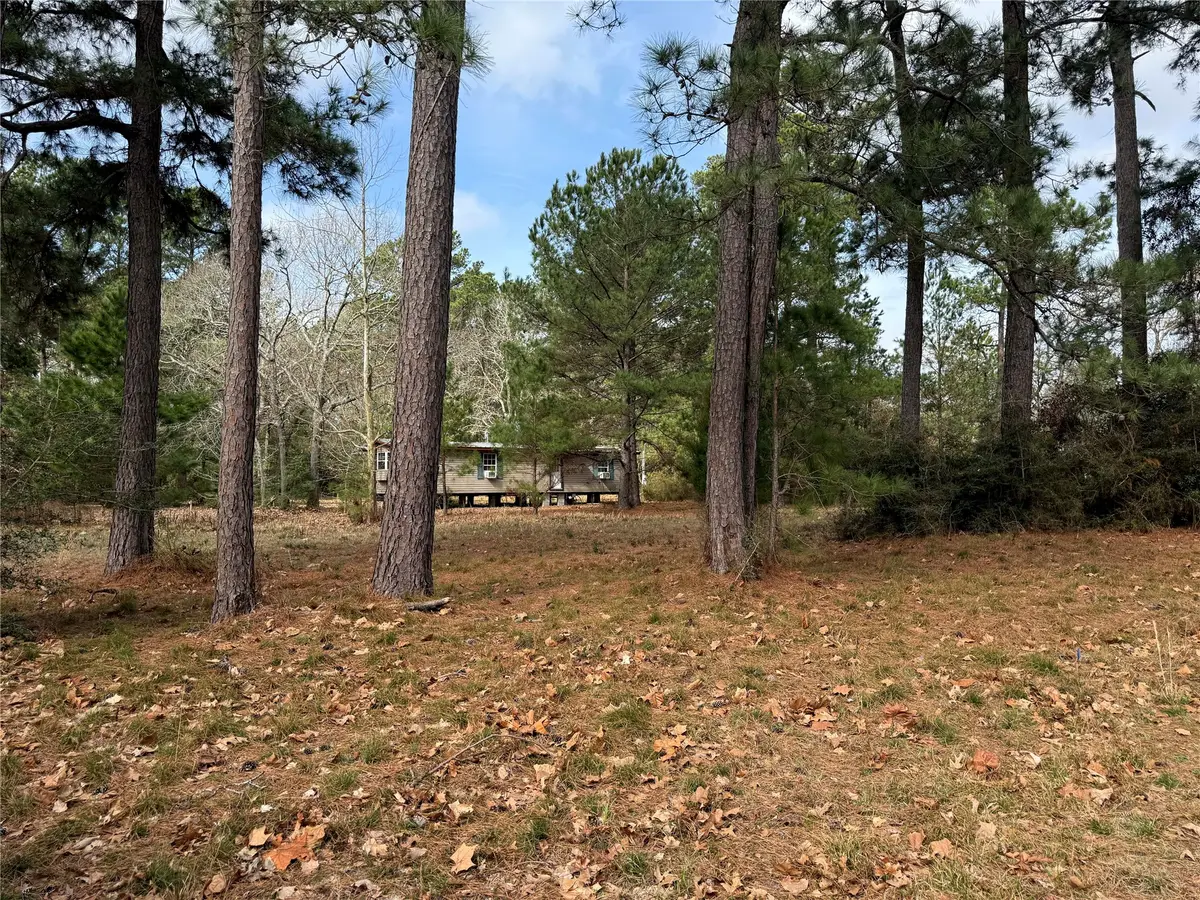 15409 Cherry Laurel Lane, Navasota, TX 77868 - #1