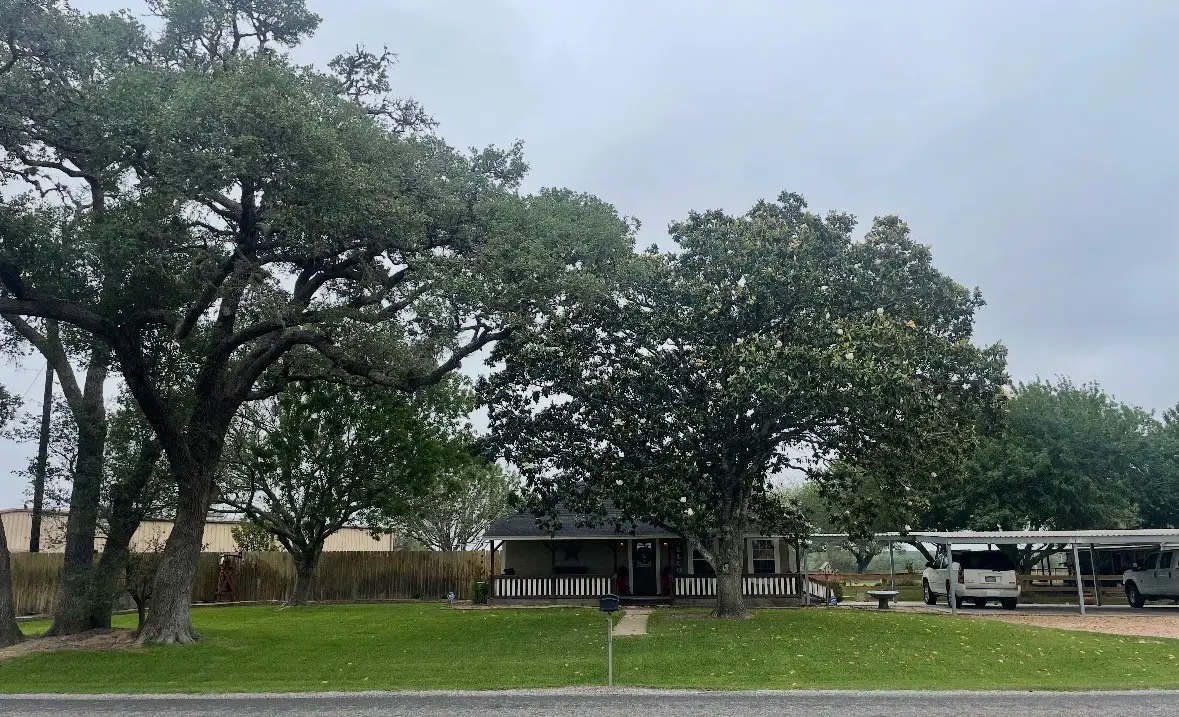 3393 State Highway 111 E, Yoakum, TX 77995 - #1