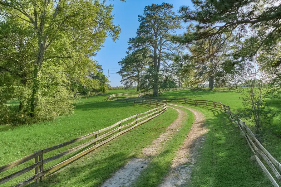 23004 Landrum Village Drive, Montgomery, TX 77316 - #3