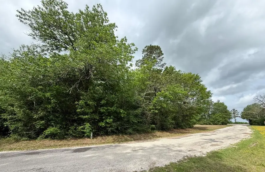 TBD W Fm 1374 Rd, Huntsville, TX 77340 - #2