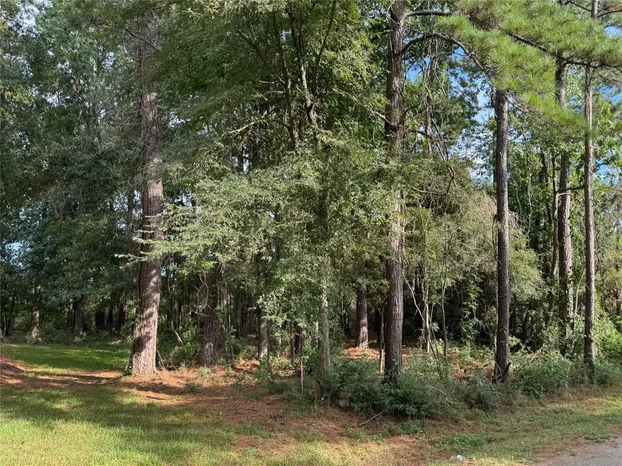 N/A Woodcreek Drive, Willis, TX 77318 - #3