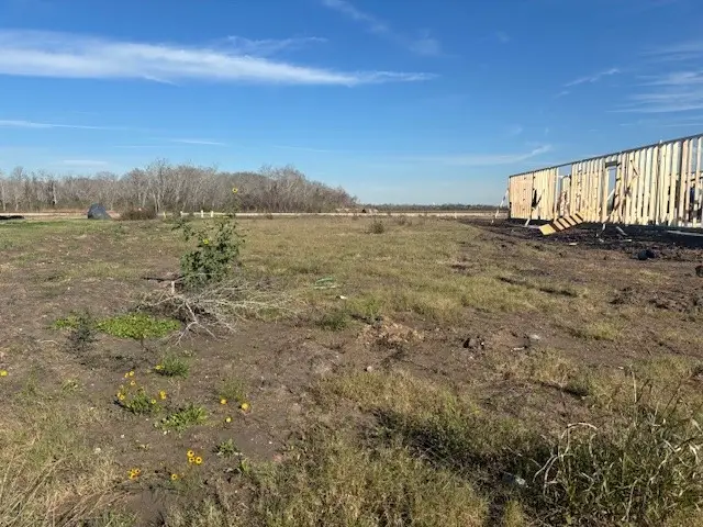 5438 Timpson Drive, Manvel, TX 77578 - Image #3