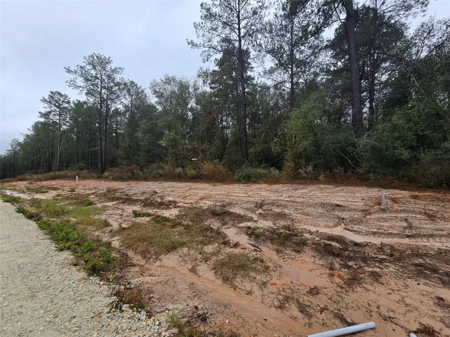 142 Splendid Road, New Waverly, TX 77358 - Image #3