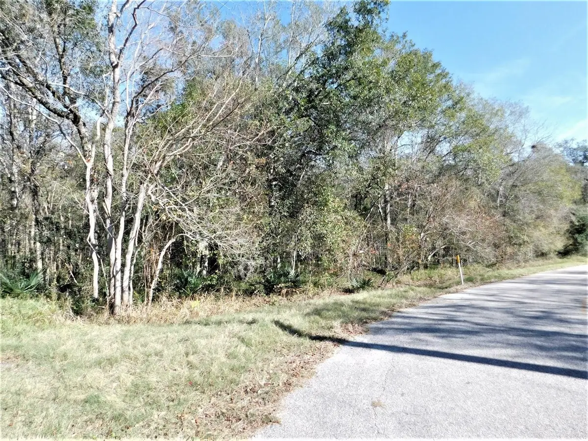 0 Brazos River Drive, Damon, TX 77430 - #1