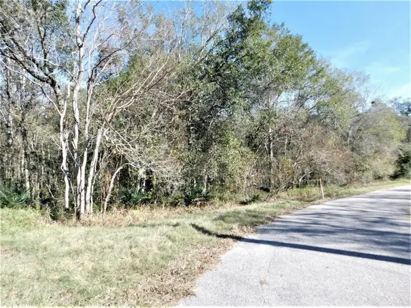 0 Brazos River Drive, Damon, TX 77430