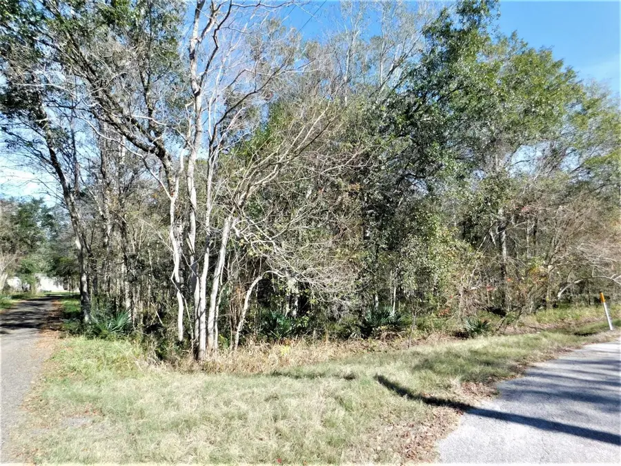 0 Brazos River Drive, Damon, TX 77430 - #2
