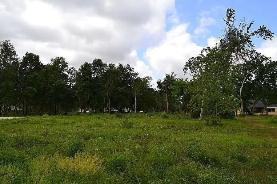 4602 Cottonwood Run, Alvin, TX 77511 - Image #2