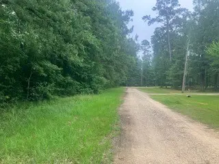 000 Wildwood Flower Circle, Livingston, TX 77351