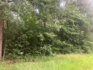 000 Wildwood Flower Circle, Livingston, TX 77351 - #3
