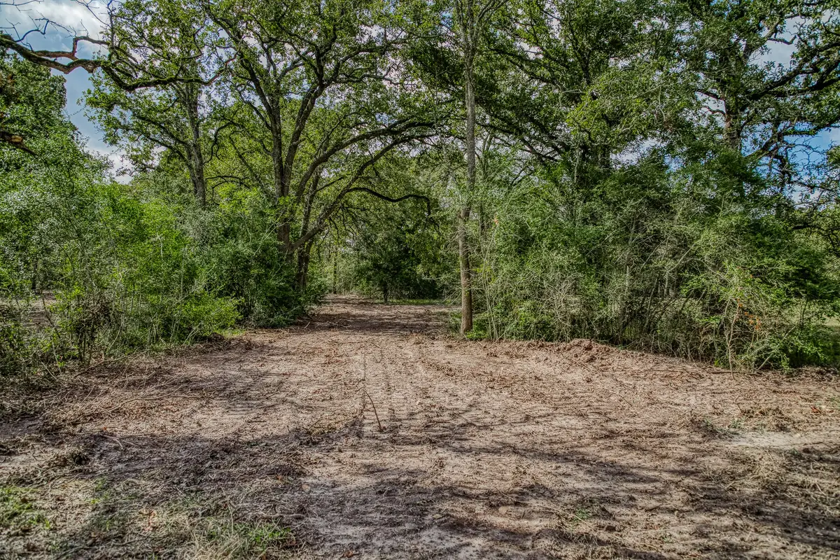 Tract 2 Sun Oil Road, Brenham, TX 77833 - Image #1