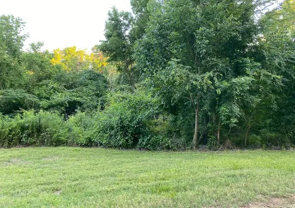 00 White Oak Drive, Point Blank, TX 77364