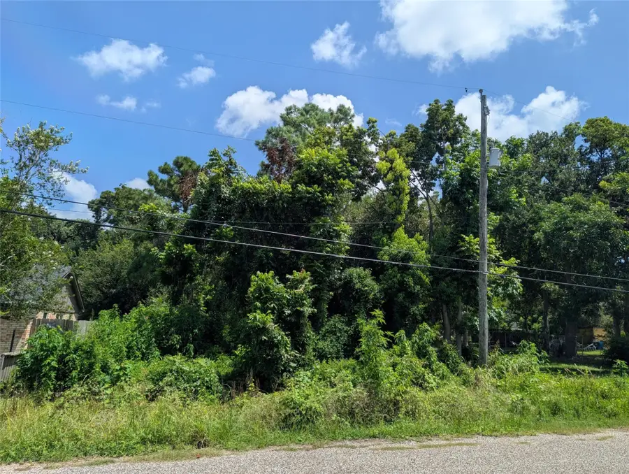 0 Thompson Street, La Marque, TX 77551 - Image #2