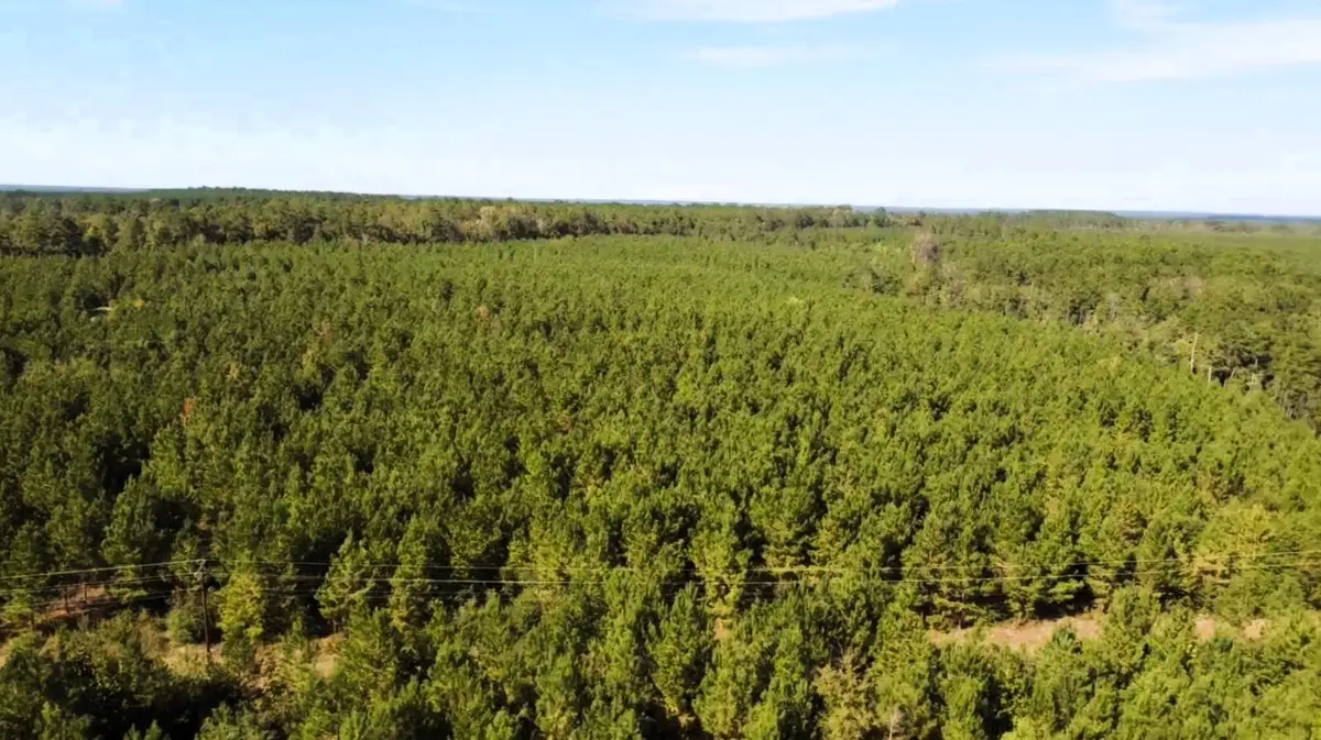 0000 Us Highway 190 E, Livingston, TX 77351 - #1