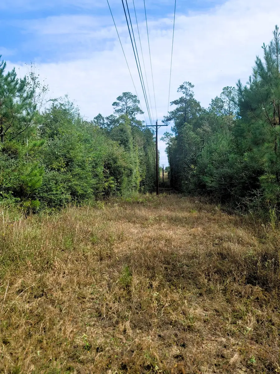 0000 Us Highway 190 E, Livingston, TX 77351 - #2