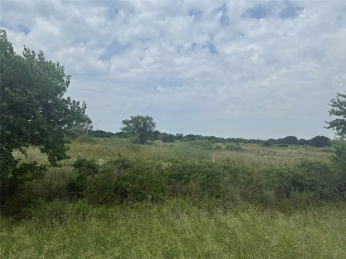 0 County Road 25, Damon, TX 77430 - Image #1