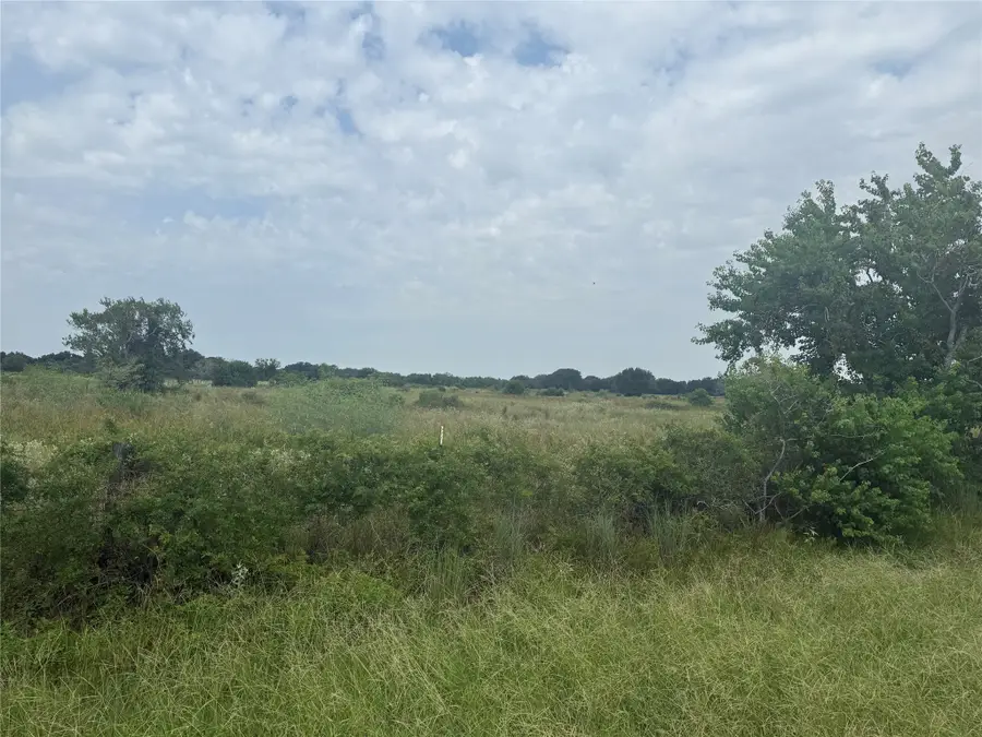0 County Road 25, Damon, TX 77430 - Image #2