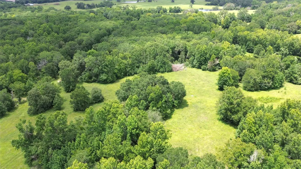 Tract #3 Cr 2065, Crockett, TX 75835 - Image #1