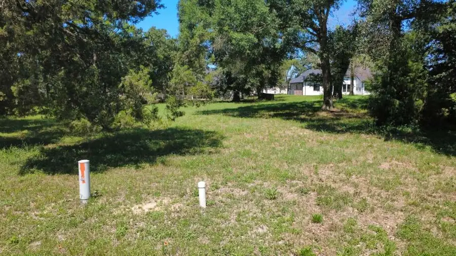 Lot 63 Birdie Drive, Hempstead, TX 77445 - Image #2