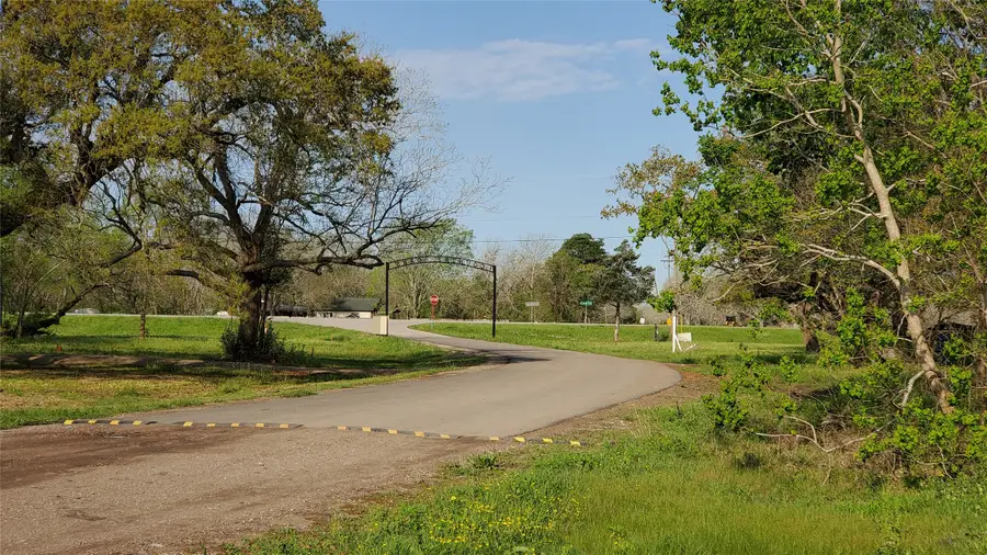 191 Country Oaks Street, Brazoria, TX 77422 - #2