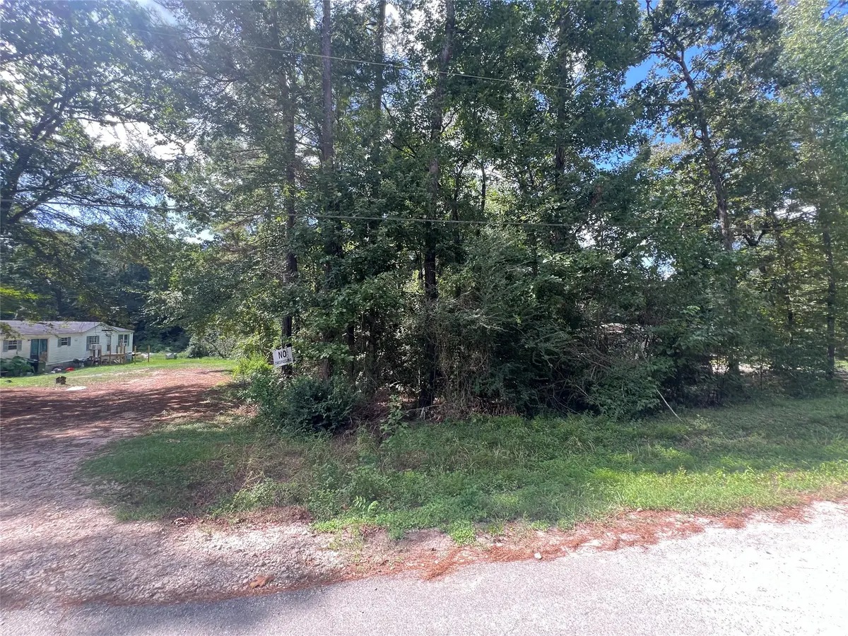 0 Lawrence Drive, Montgomery, TX 77356 - #1