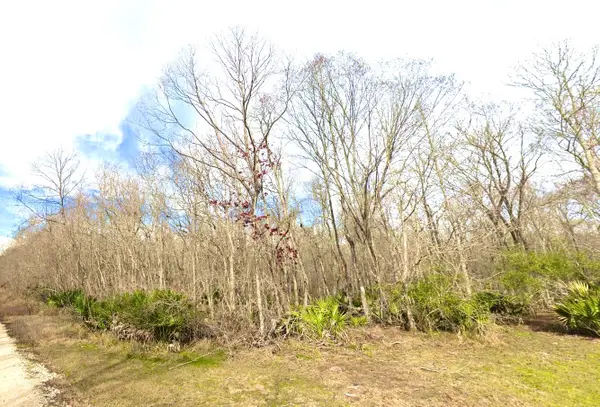 0 Black Cat Road, Sour Lake, TX 77659