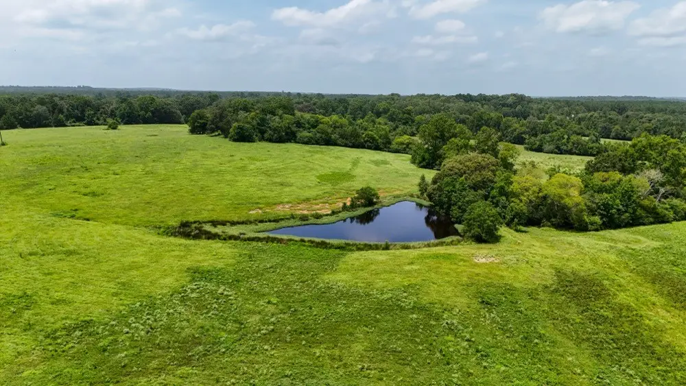 000 Cr 2780, Colmesneil, TX 75938 - #1