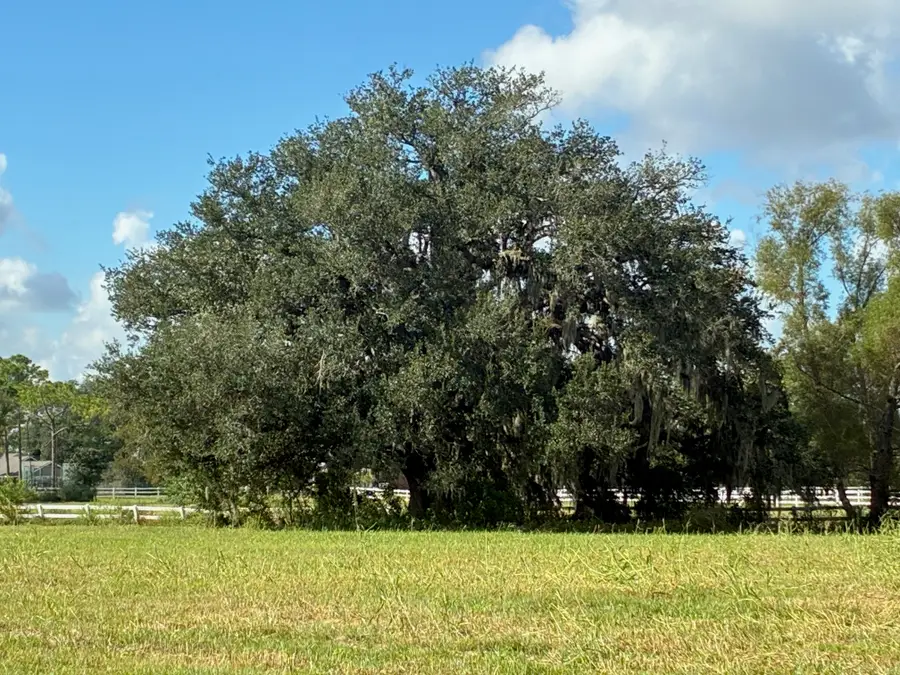 2934 Horse Trail Drive, Rosharon, TX 77583 - #2