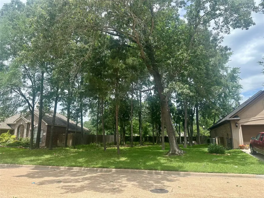 13602 Wintercrest Drive, Montgomery, TX 77356 - #3