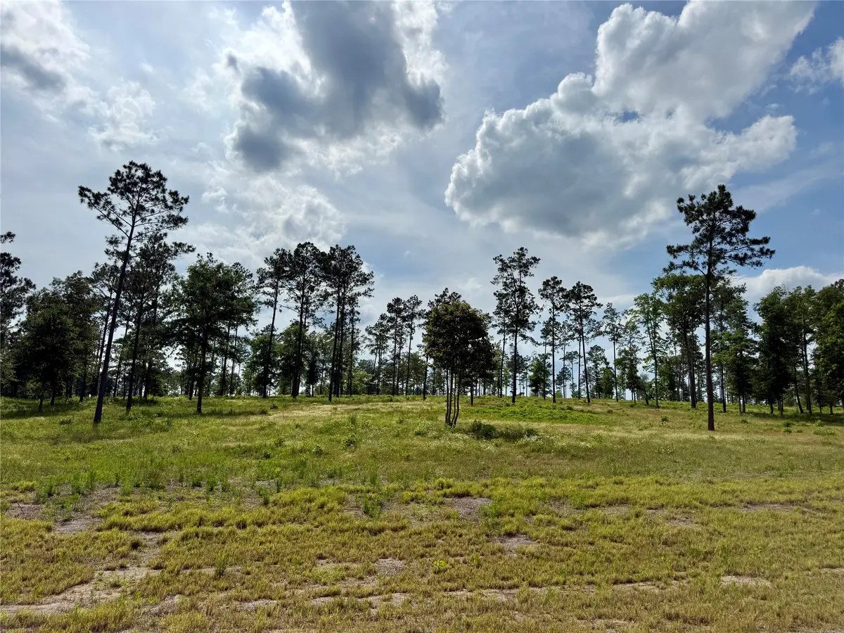Lot 74 Western Road, Livingston, TX 77351 - #1