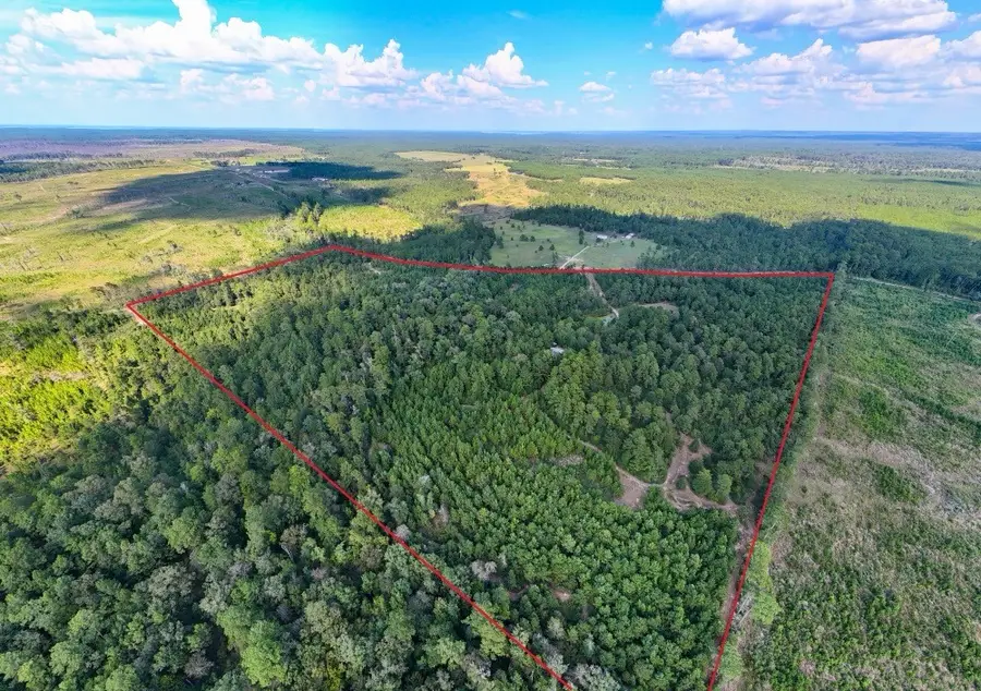 1707 County Road 037, Jasper, TX 75951 - #2