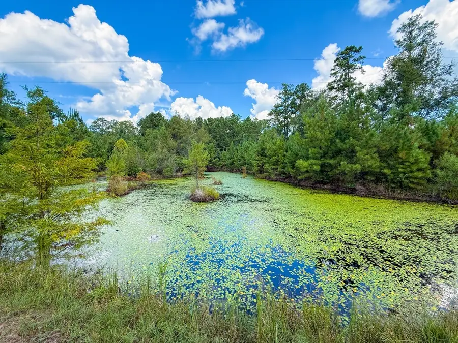 1707 County Road 037, Jasper, TX 75951 - #3