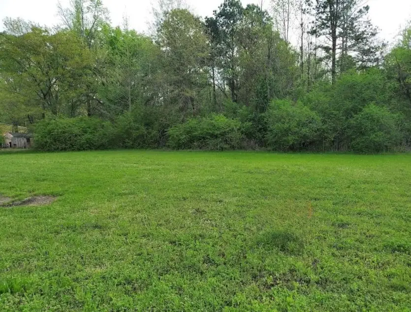 0 Buchanan Road, Texarkana, TX 75501 - Image #3